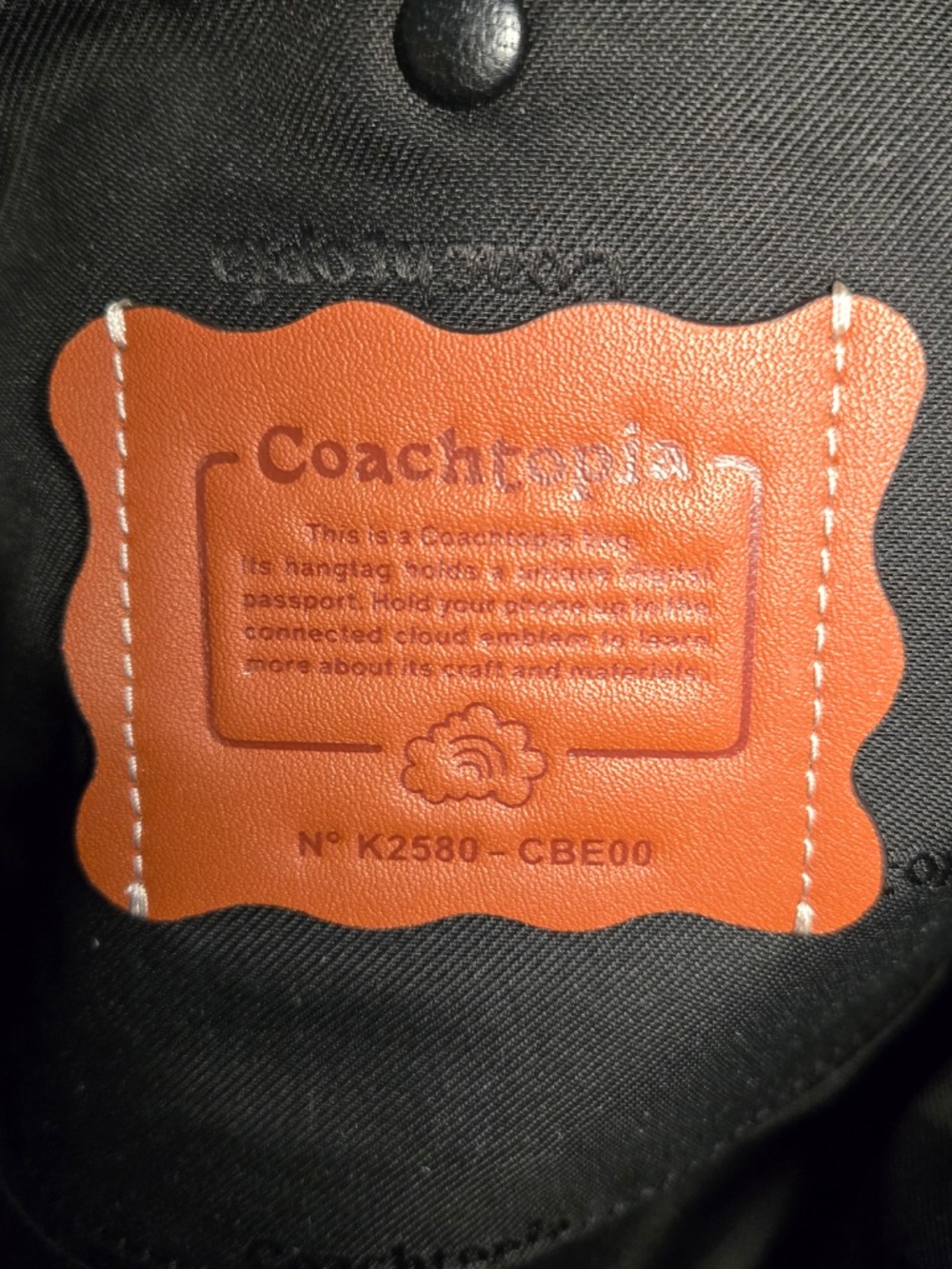 Coach Coachtopia Alter Ego Slouchy bag multi 3 - Picture 4 of 8